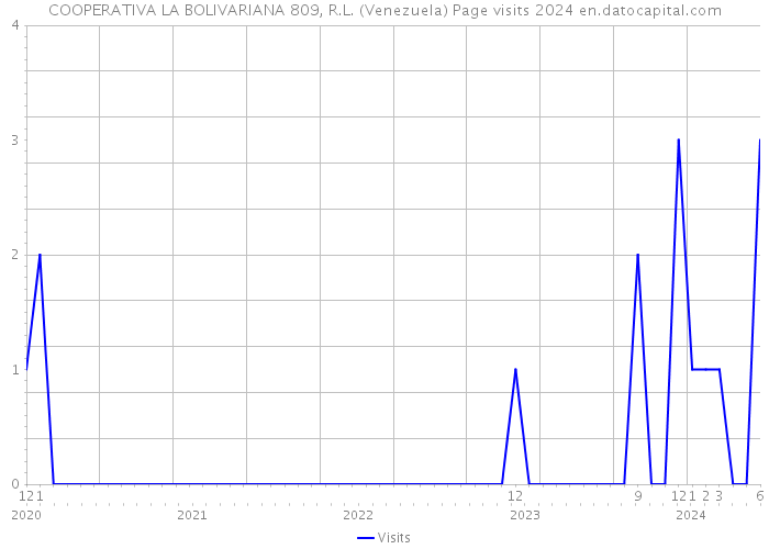 COOPERATIVA LA BOLIVARIANA 809, R.L. (Venezuela) Page visits 2024 