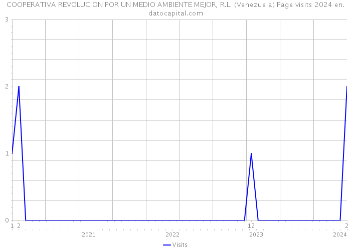 COOPERATIVA REVOLUCION POR UN MEDIO AMBIENTE MEJOR, R.L. (Venezuela) Page visits 2024 