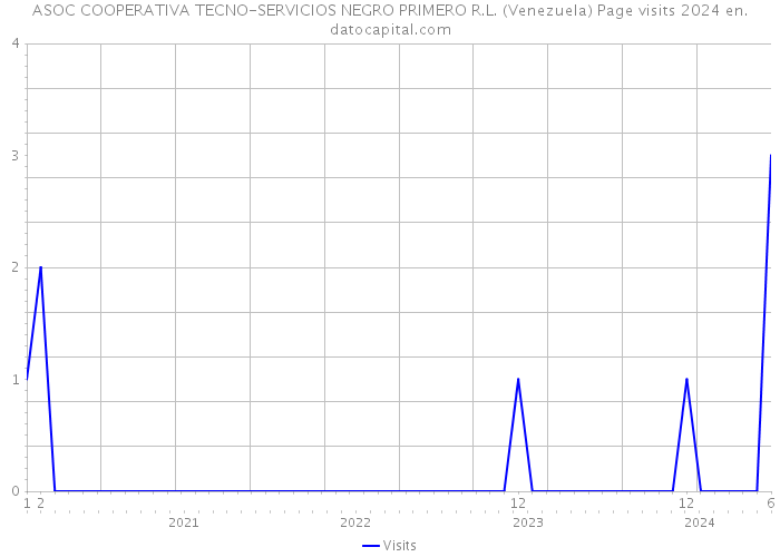 ASOC COOPERATIVA TECNO-SERVICIOS NEGRO PRIMERO R.L. (Venezuela) Page visits 2024 
