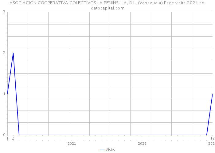 ASOCIACION COOPERATIVA COLECTIVOS LA PENINSULA, R.L. (Venezuela) Page visits 2024 