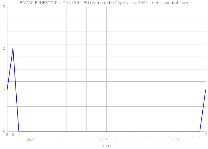 EDGAR ERNESTO PULGAR GUILLEN (Venezuela) Page visits 2024 