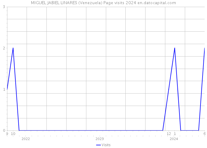 MIGUEL JABIEL LINARES (Venezuela) Page visits 2024 