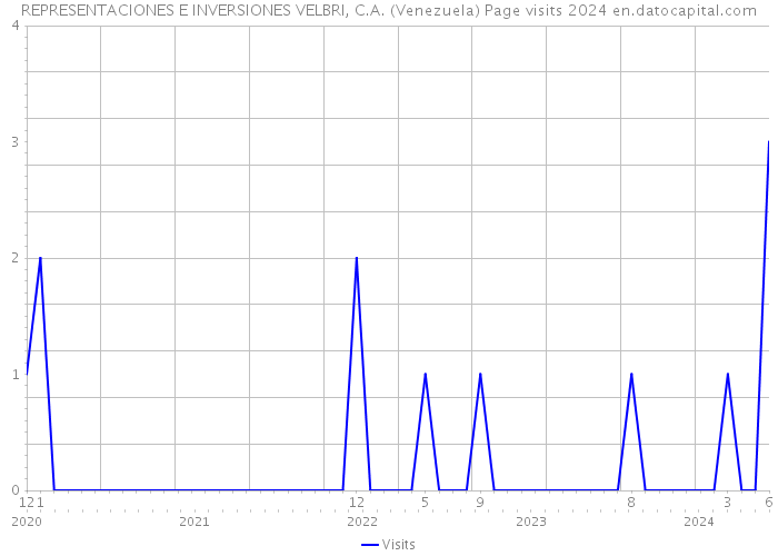 REPRESENTACIONES E INVERSIONES VELBRI, C.A. (Venezuela) Page visits 2024 