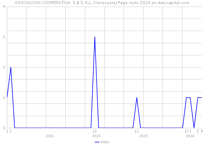 ASOCIACION COOPERATIVA S & S, R.L. (Venezuela) Page visits 2024 