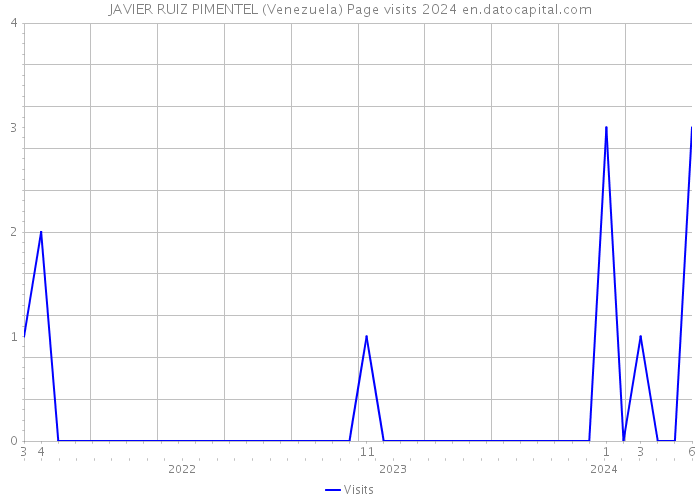 JAVIER RUIZ PIMENTEL (Venezuela) Page visits 2024 