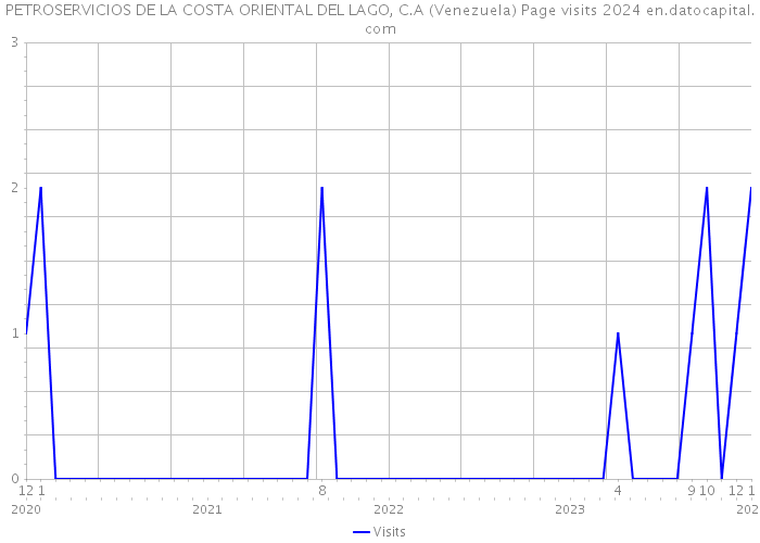 PETROSERVICIOS DE LA COSTA ORIENTAL DEL LAGO, C.A (Venezuela) Page visits 2024 