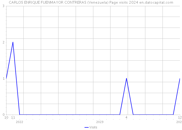 CARLOS ENRIQUE FUENMAYOR CONTRERAS (Venezuela) Page visits 2024 