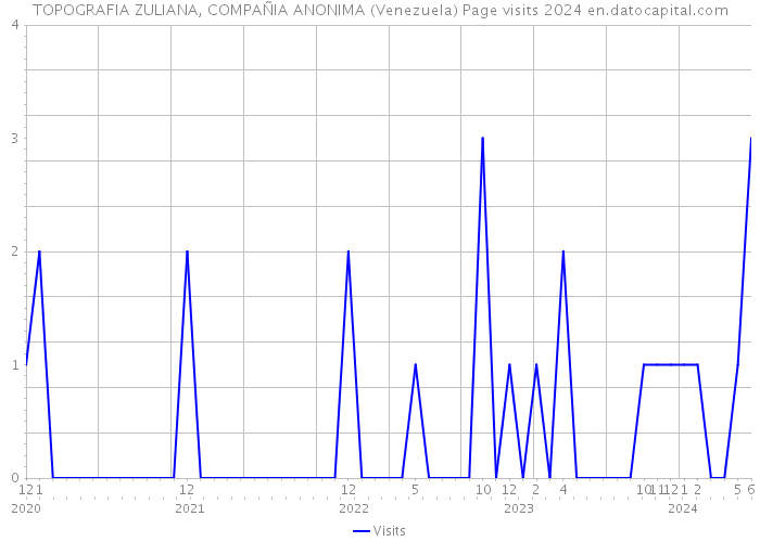 TOPOGRAFIA ZULIANA, COMPAÑIA ANONIMA (Venezuela) Page visits 2024 
