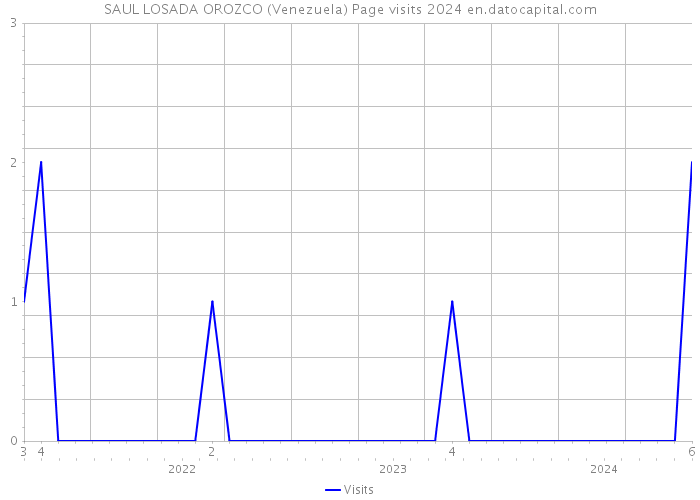 SAUL LOSADA OROZCO (Venezuela) Page visits 2024 