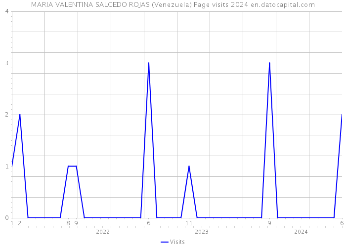 MARIA VALENTINA SALCEDO ROJAS (Venezuela) Page visits 2024 