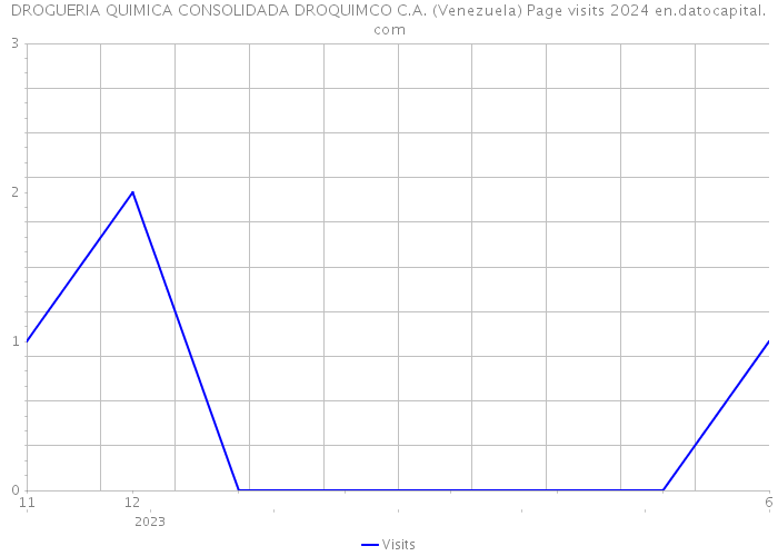 DROGUERIA QUIMICA CONSOLIDADA DROQUIMCO C.A. (Venezuela) Page visits 2024 