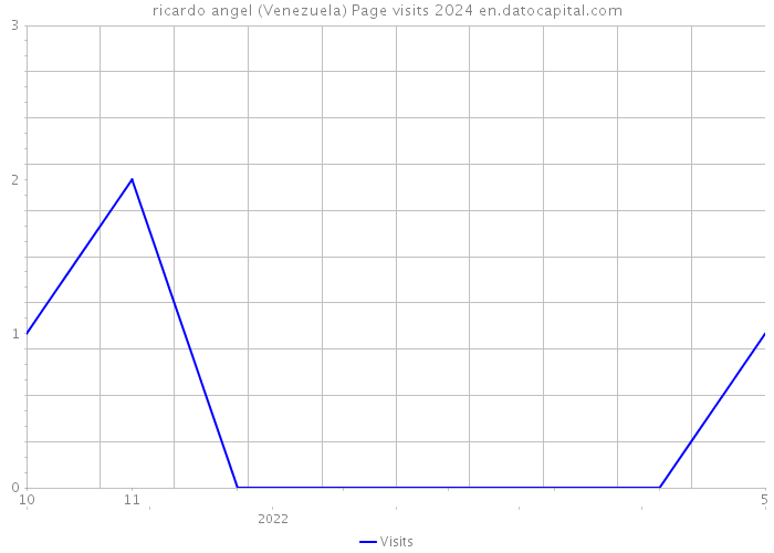 ricardo angel (Venezuela) Page visits 2024 