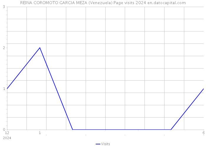 REINA COROMOTO GARCIA MEZA (Venezuela) Page visits 2024 
