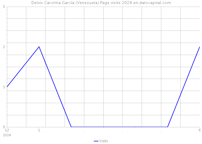 Delvis Carolina García (Venezuela) Page visits 2024 