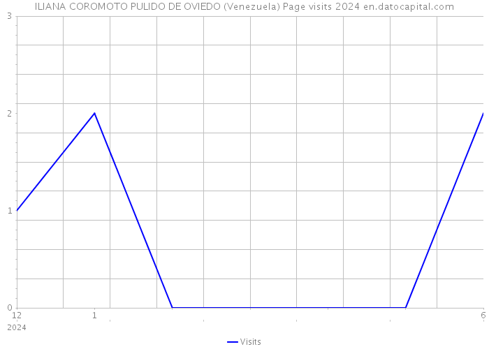 ILIANA COROMOTO PULIDO DE OVIEDO (Venezuela) Page visits 2024 