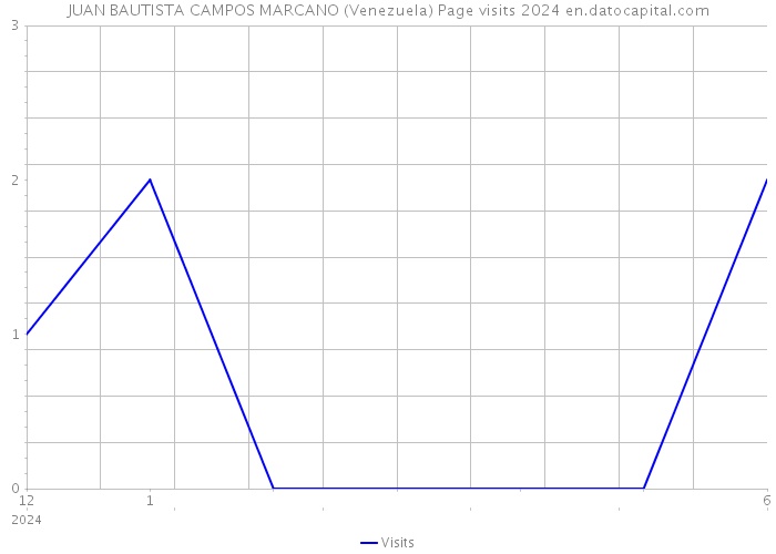 JUAN BAUTISTA CAMPOS MARCANO (Venezuela) Page visits 2024 