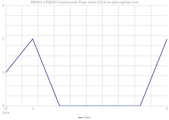 PEDRO ATIENZO (Venezuela) Page visits 2024 