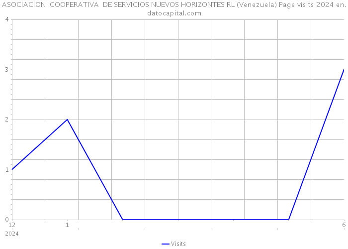 ASOCIACION COOPERATIVA DE SERVICIOS NUEVOS HORIZONTES RL (Venezuela) Page visits 2024 