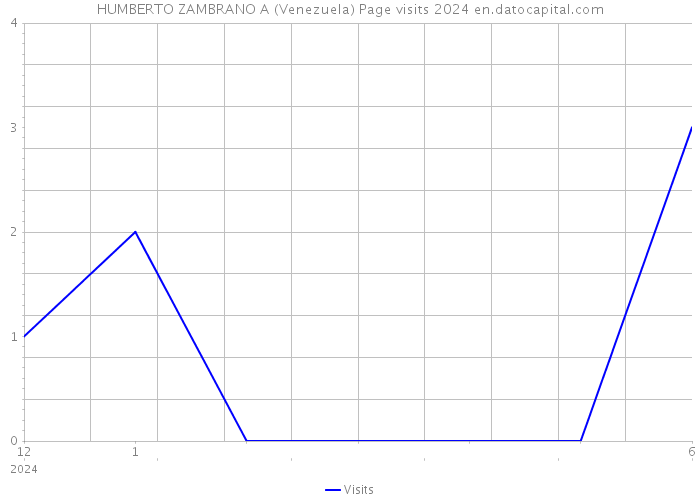 HUMBERTO ZAMBRANO A (Venezuela) Page visits 2024 