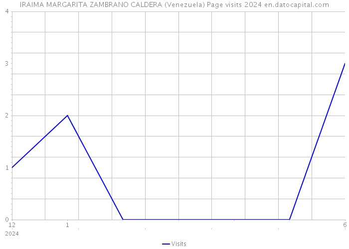 IRAIMA MARGARITA ZAMBRANO CALDERA (Venezuela) Page visits 2024 