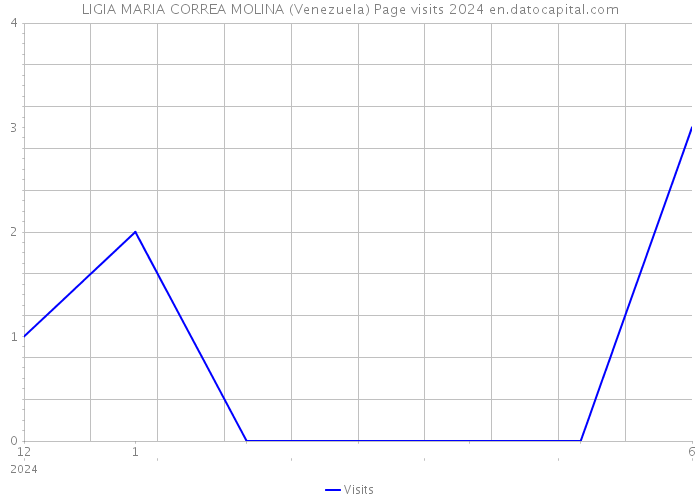 LIGIA MARIA CORREA MOLINA (Venezuela) Page visits 2024 