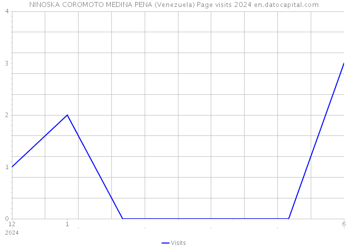 NINOSKA COROMOTO MEDINA PENA (Venezuela) Page visits 2024 