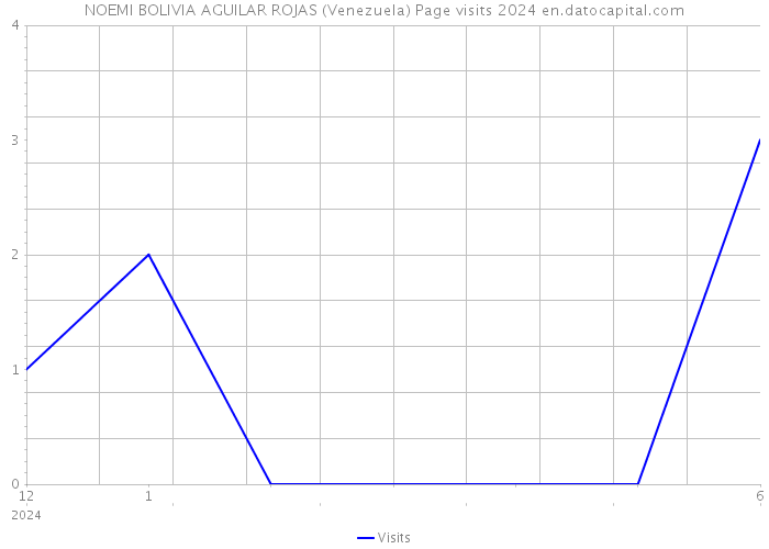 NOEMI BOLIVIA AGUILAR ROJAS (Venezuela) Page visits 2024 