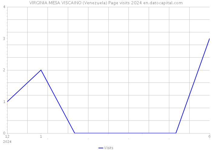 VIRGINIA MESA VISCAINO (Venezuela) Page visits 2024 