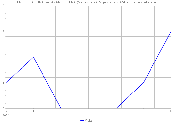 GENESIS PAULINA SALAZAR FIGUERA (Venezuela) Page visits 2024 