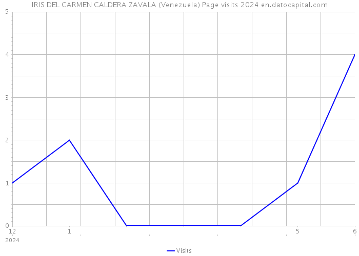 IRIS DEL CARMEN CALDERA ZAVALA (Venezuela) Page visits 2024 