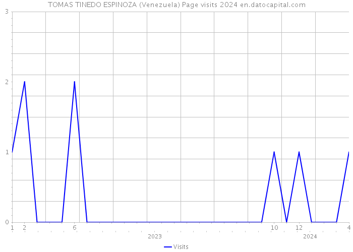 TOMAS TINEDO ESPINOZA (Venezuela) Page visits 2024 