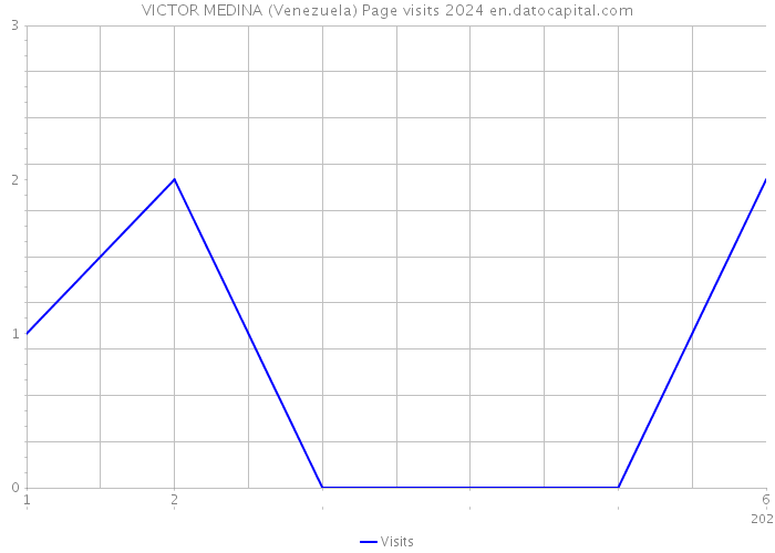 VICTOR MEDINA (Venezuela) Page visits 2024 