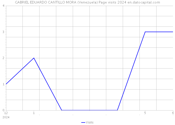 GABRIEL EDUARDO CANTILLO MORA (Venezuela) Page visits 2024 