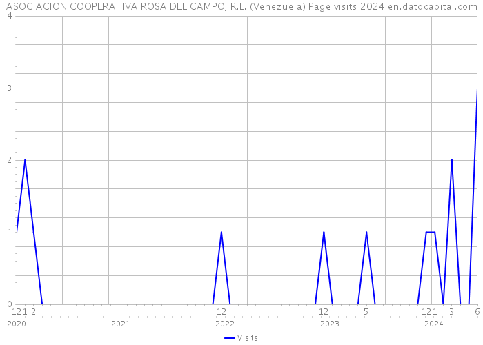 ASOCIACION COOPERATIVA ROSA DEL CAMPO, R.L. (Venezuela) Page visits 2024 