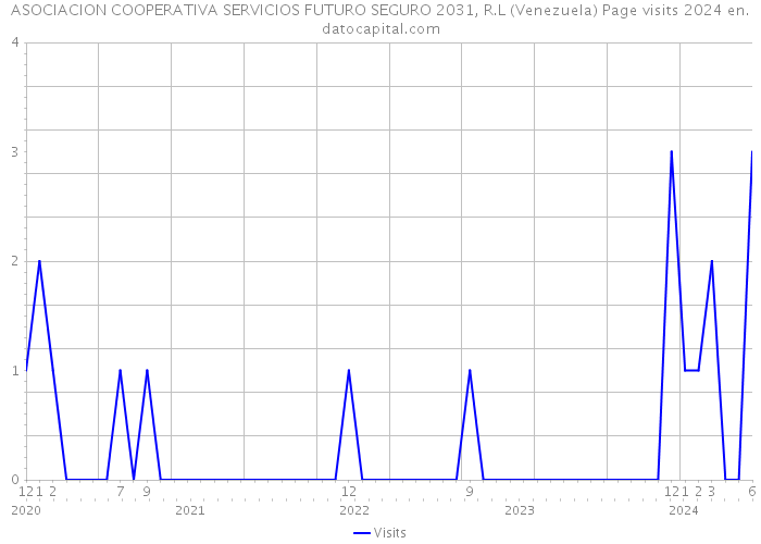 ASOCIACION COOPERATIVA SERVICIOS FUTURO SEGURO 2031, R.L (Venezuela) Page visits 2024 