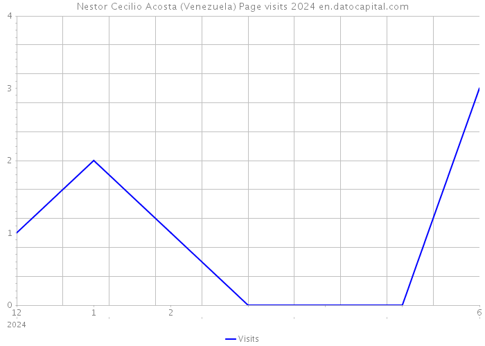 Nestor Cecilio Acosta (Venezuela) Page visits 2024 