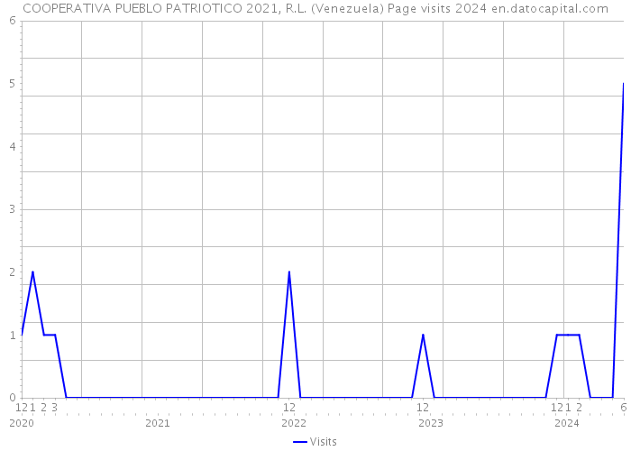 COOPERATIVA PUEBLO PATRIOTICO 2021, R.L. (Venezuela) Page visits 2024 