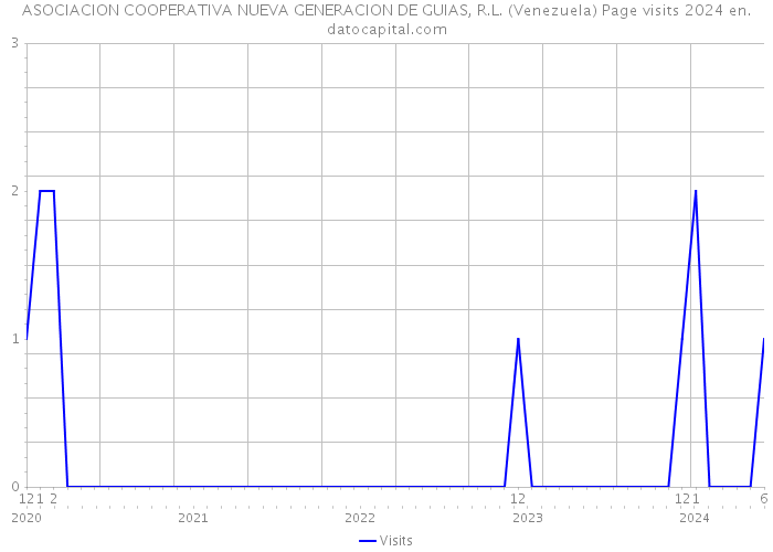 ASOCIACION COOPERATIVA NUEVA GENERACION DE GUIAS, R.L. (Venezuela) Page visits 2024 