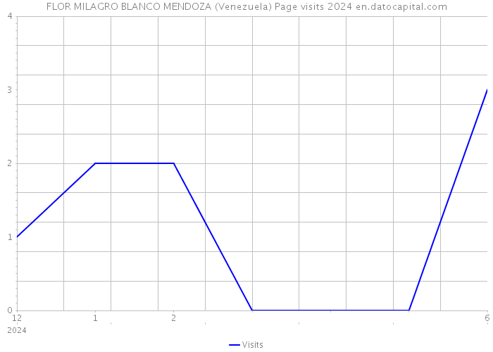FLOR MILAGRO BLANCO MENDOZA (Venezuela) Page visits 2024 