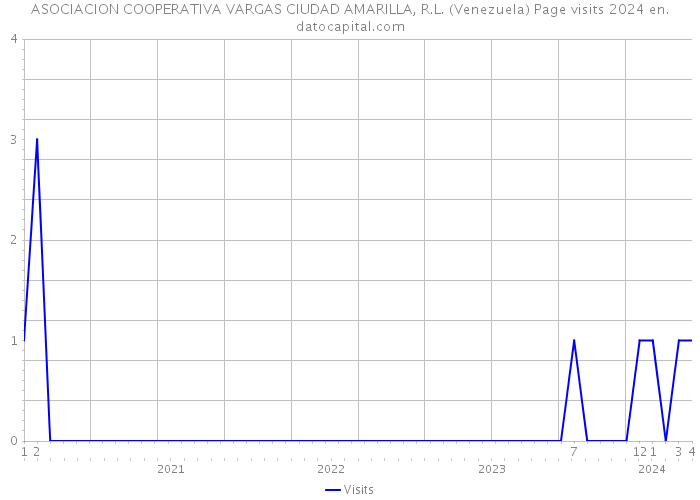 ASOCIACION COOPERATIVA VARGAS CIUDAD AMARILLA, R.L. (Venezuela) Page visits 2024 