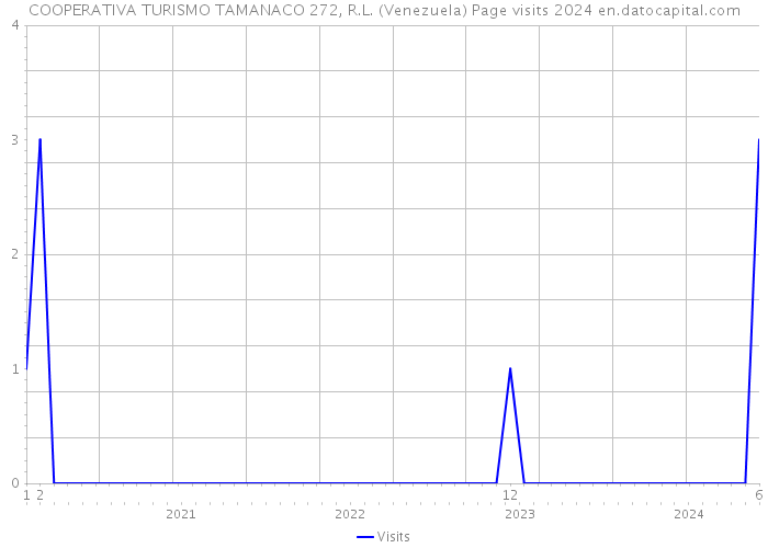 COOPERATIVA TURISMO TAMANACO 272, R.L. (Venezuela) Page visits 2024 