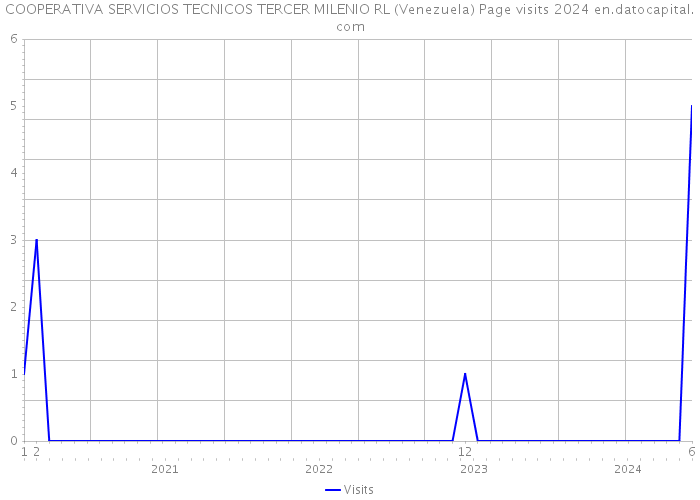 COOPERATIVA SERVICIOS TECNICOS TERCER MILENIO RL (Venezuela) Page visits 2024 