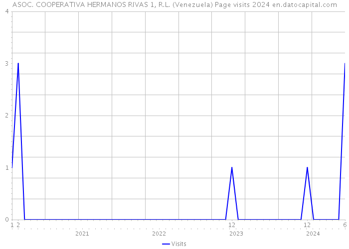 ASOC. COOPERATIVA HERMANOS RIVAS 1, R.L. (Venezuela) Page visits 2024 