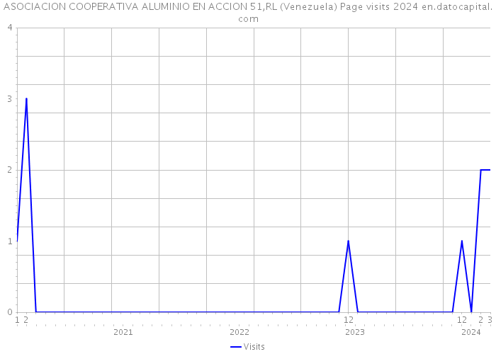 ASOCIACION COOPERATIVA ALUMINIO EN ACCION 51,RL (Venezuela) Page visits 2024 