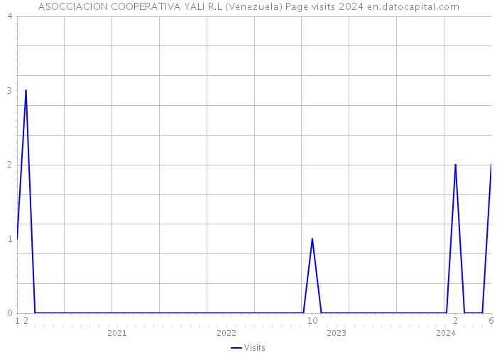 ASOCCIACION COOPERATIVA YALI R.L (Venezuela) Page visits 2024 