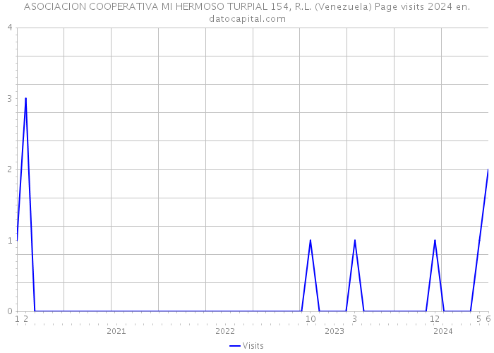 ASOCIACION COOPERATIVA MI HERMOSO TURPIAL 154, R.L. (Venezuela) Page visits 2024 