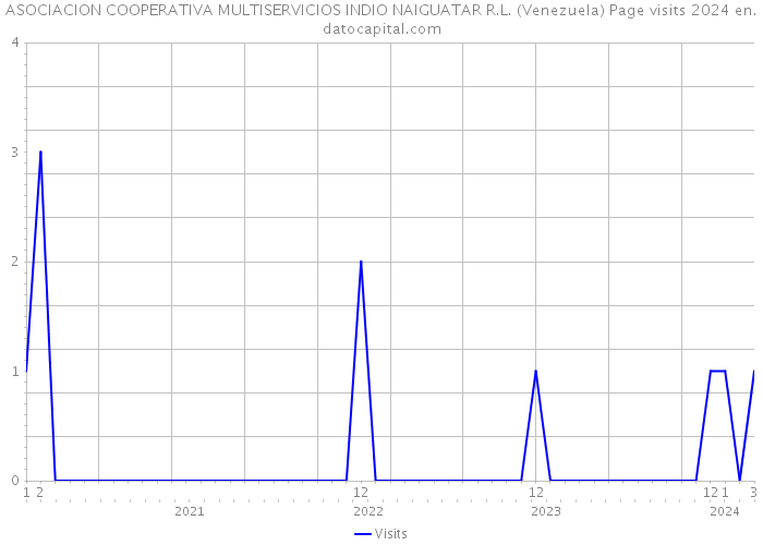 ASOCIACION COOPERATIVA MULTISERVICIOS INDIO NAIGUATAR R.L. (Venezuela) Page visits 2024 