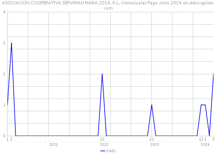 ASOCIACION COOPERATIVA SERVIMAN MARA 2014, R.L. (Venezuela) Page visits 2024 