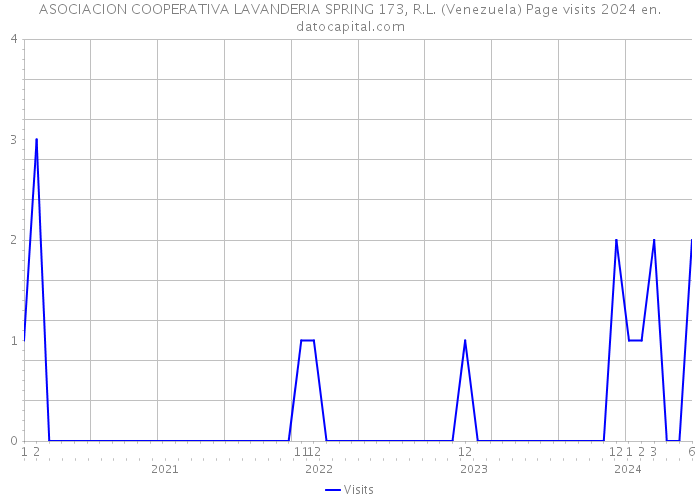 ASOCIACION COOPERATIVA LAVANDERIA SPRING 173, R.L. (Venezuela) Page visits 2024 