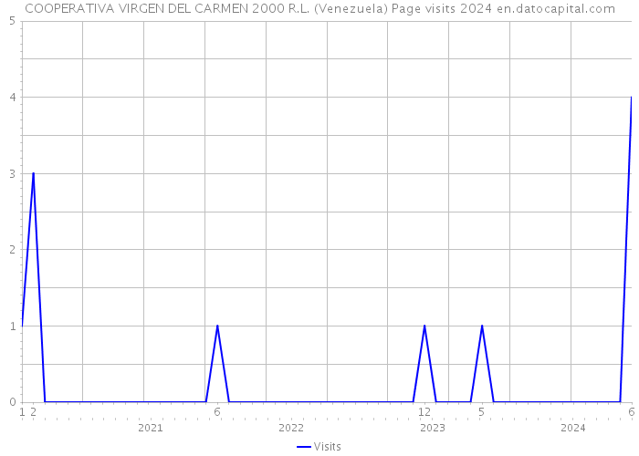 COOPERATIVA VIRGEN DEL CARMEN 2000 R.L. (Venezuela) Page visits 2024 